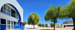 Colegio Campamento OLIVA Valencia