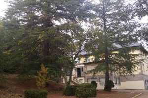 jardin-y-albergue