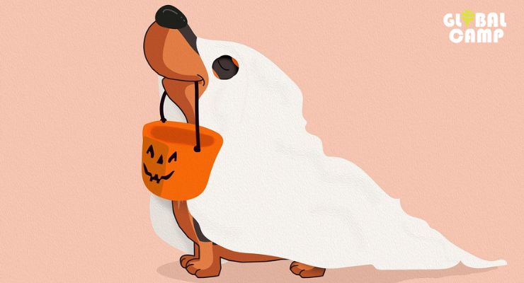 9 curiosidades de Halloween para contar a los niños
